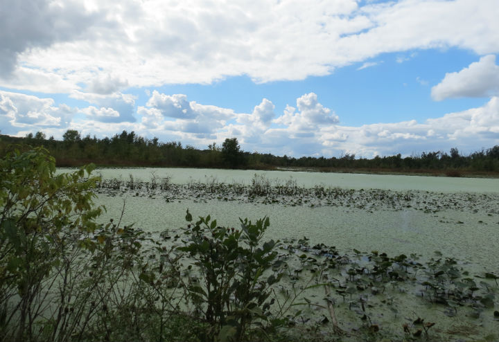 Winters Pond
